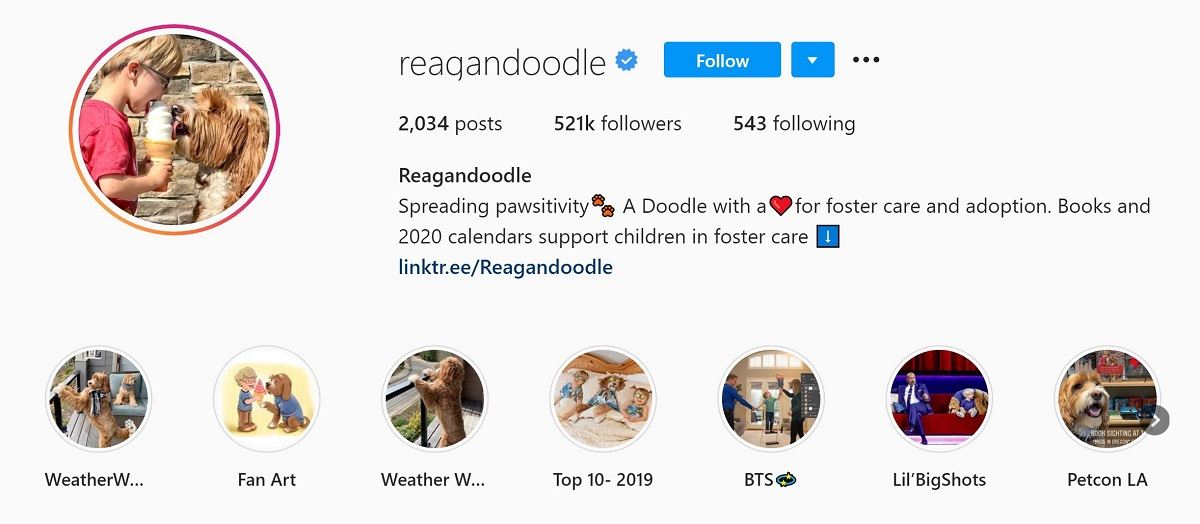 Reagan & Doodle Instagram bio